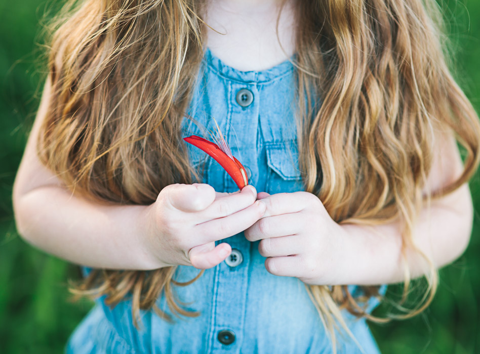 girl holding flame tree flower, Brachychiton acerifolius