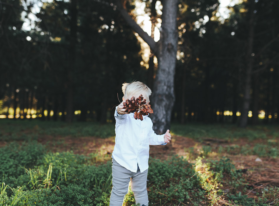 boy holding pine cone