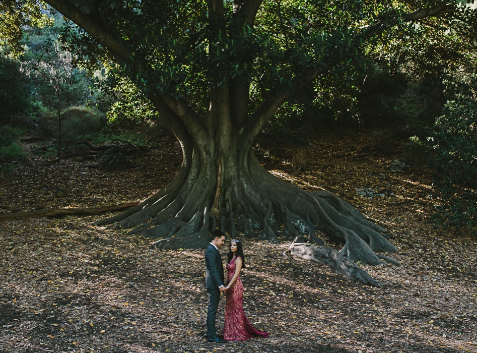 bride and groom under fig tree