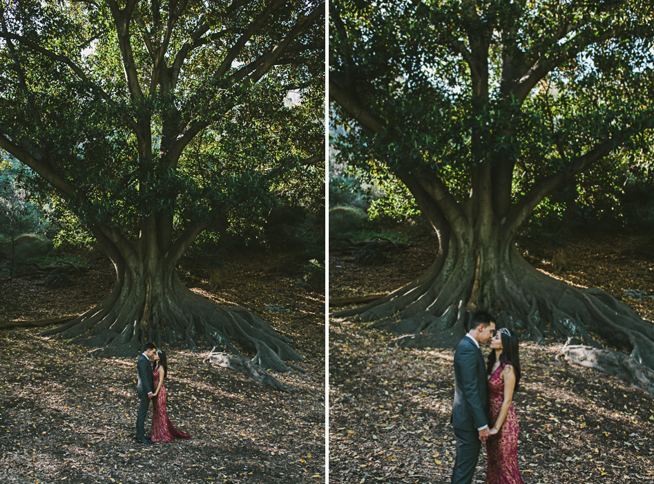 bride and groom under fig tree