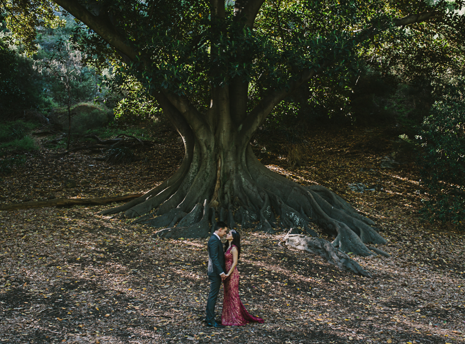 bride and groom under fig tree