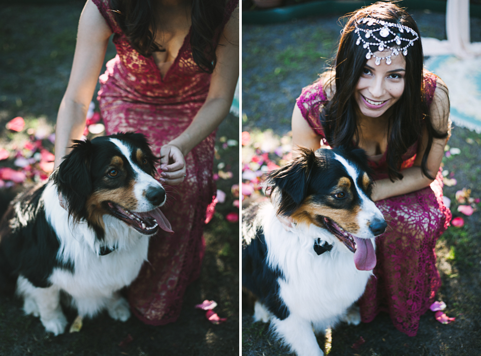 bride and dog