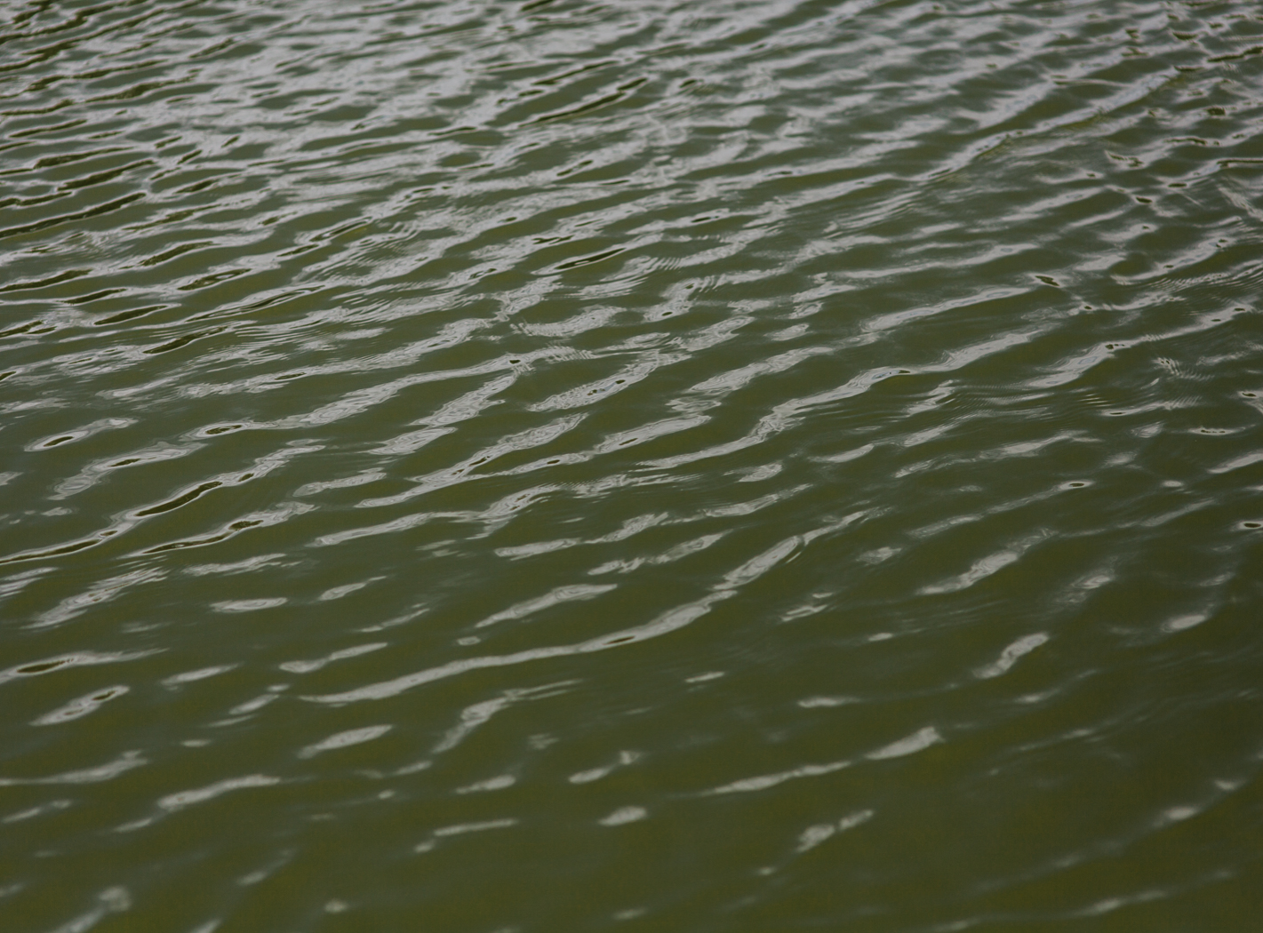 water ripples