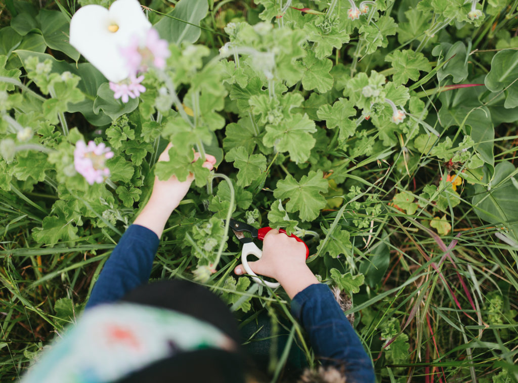 cutting flowers lifestyle family photography