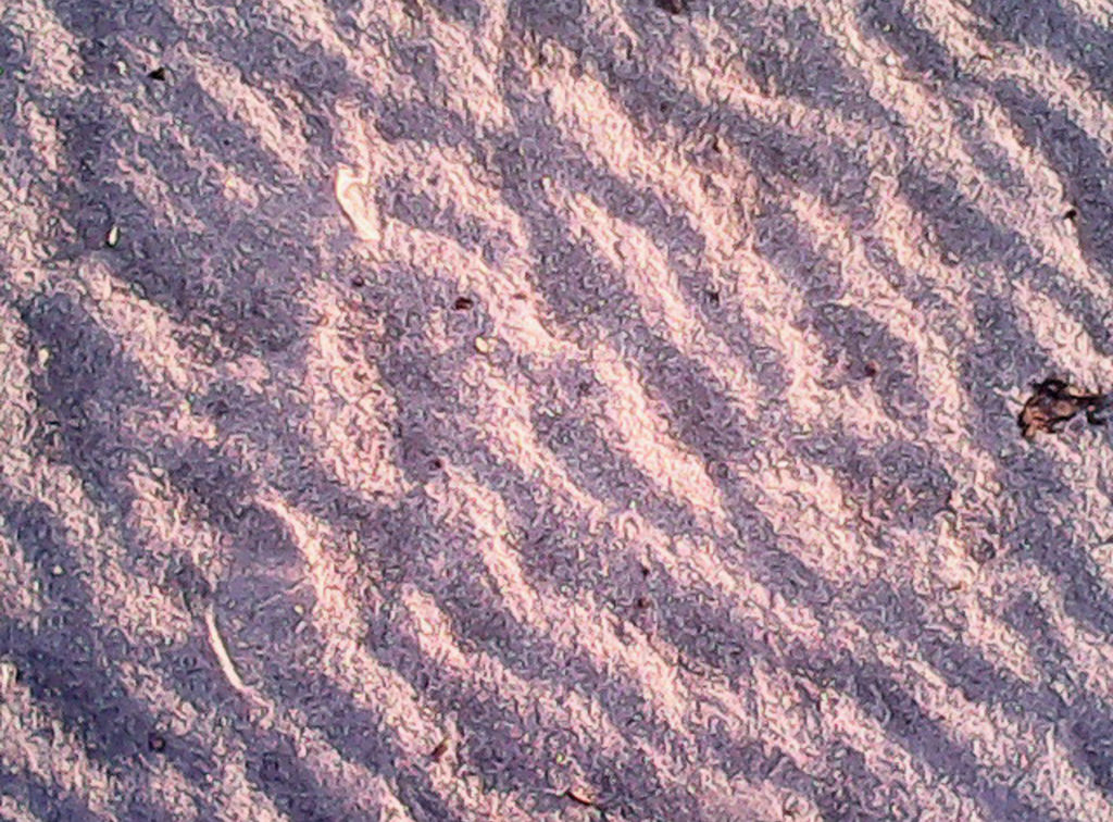 ripples in sand