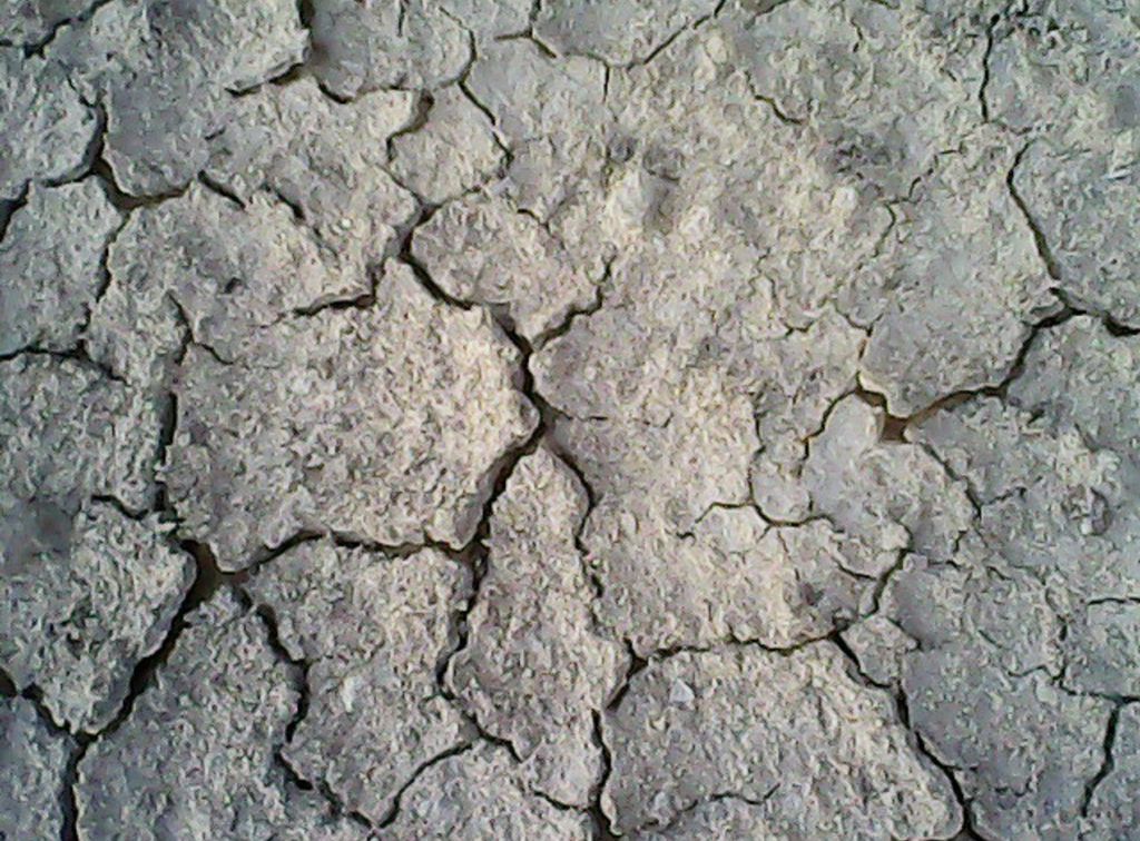 cracks in sand