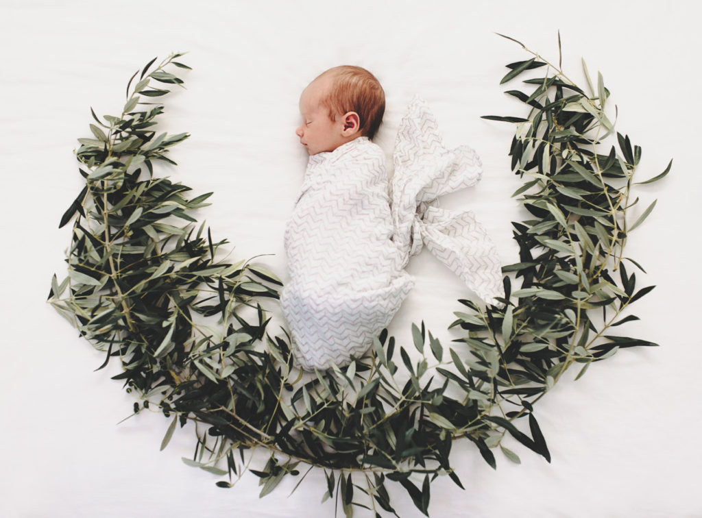 baby sleeping in olive branches