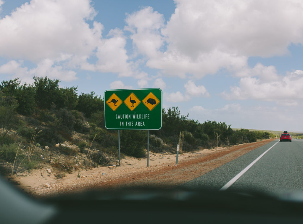 photo of road sign western australia