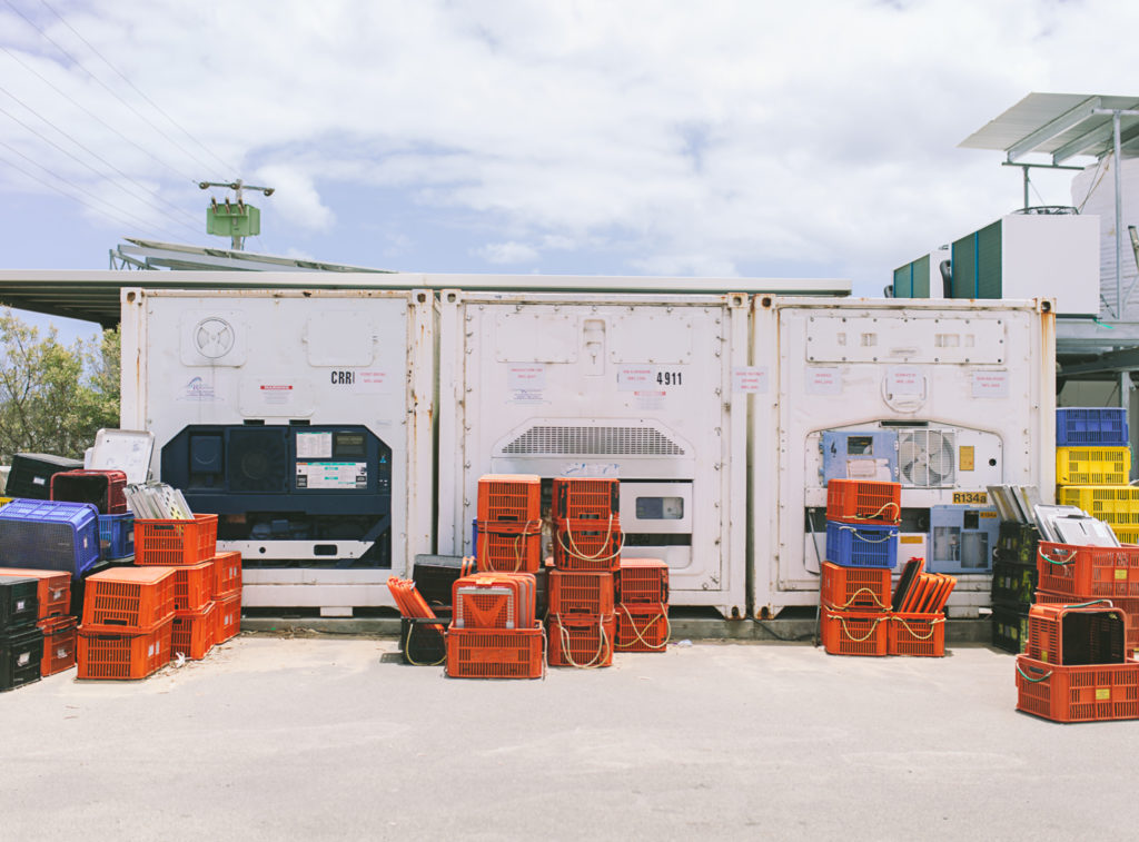 fridges at the lobster shack