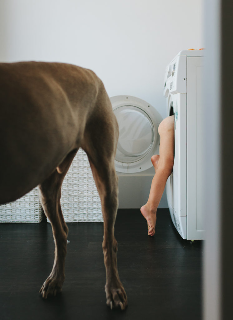 legs hanging out of washing machine