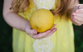 When life gives you lemons..... take pictures of them