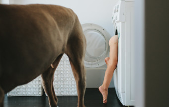 washing day, krystle ricci, perth family photographer